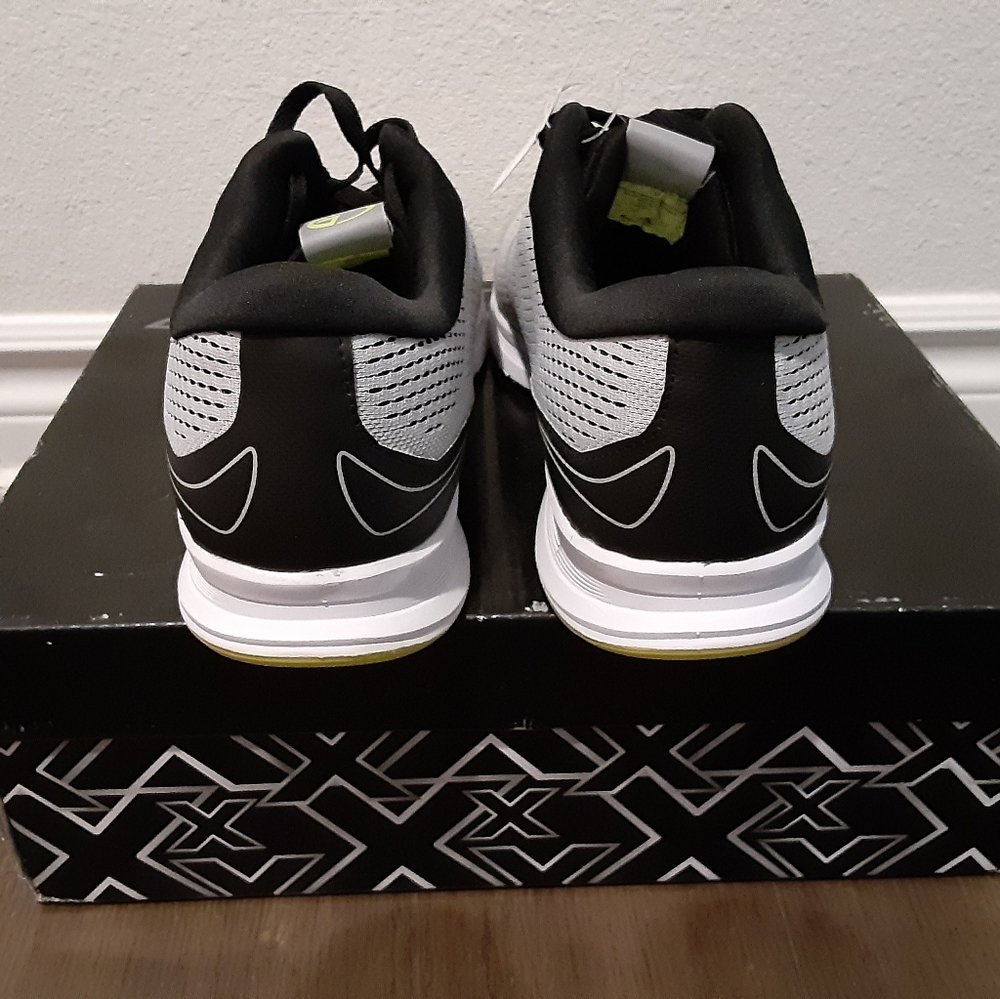Champion - Picture 4 of 5